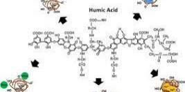 humic acid image